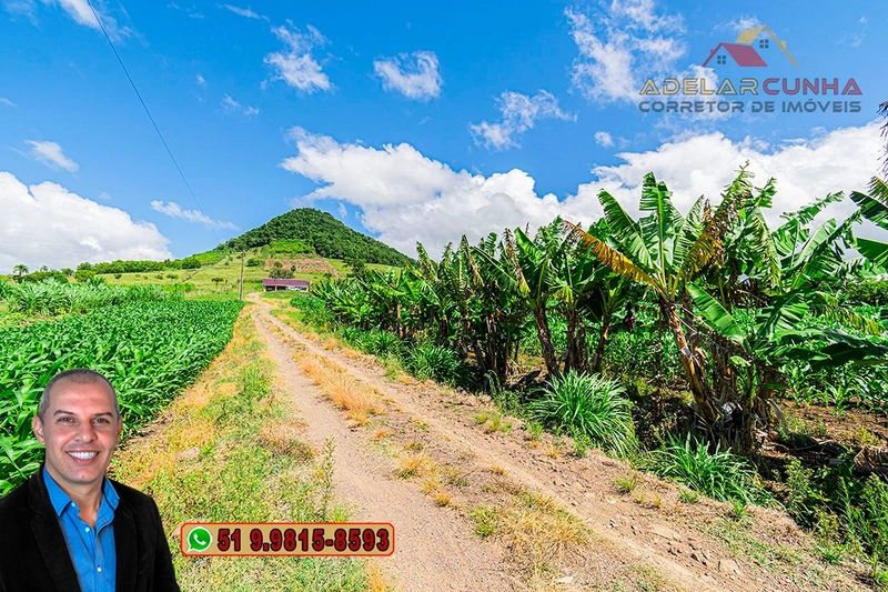 Sítio de 6.4 hectares à VENDA Igrejinha - RS.: 31ª foto da galeria de imagens do imóvel
