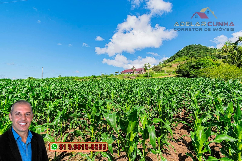 Sítio de 6.4 hectares à VENDA Igrejinha - RS.: 30ª foto da galeria de imagens do imóvel