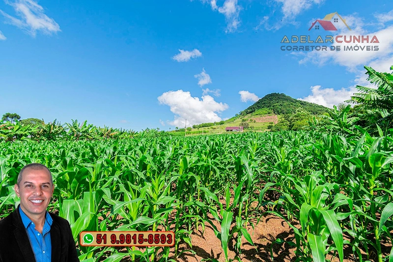 Sítio de 6.4 hectares à VENDA Igrejinha - RS.: 26ª foto da galeria de imagens do imóvel