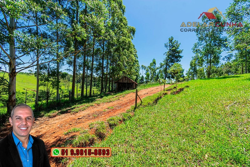 Sítio de 30 hectares à VENDA em Taquara – RS: 62ª foto da galeria de imagens do imóvel