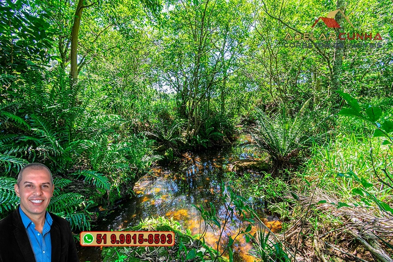 Sítio de 30 hectares à VENDA em Taquara – RS: 18ª foto da galeria de imagens do imóvel