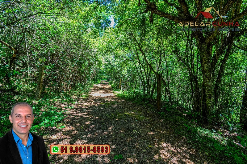 Sítio de 30 hectares à VENDA em Taquara – RS: 42ª foto da galeria de imagens do imóvel