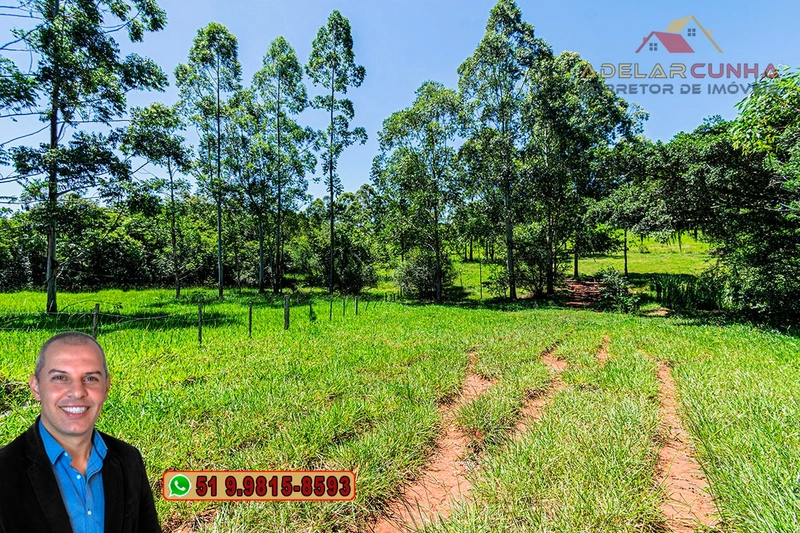 Sítio de 30 hectares à VENDA em Taquara – RS: 22ª foto da galeria de imagens do imóvel