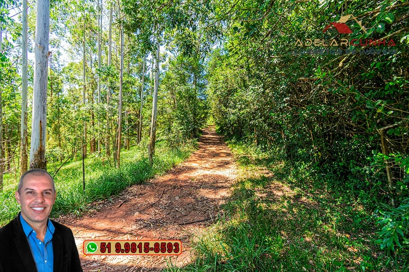 Sítio de 30 hectares à VENDA em Taquara – RS: 12ª foto da galeria de imagens do imóvel