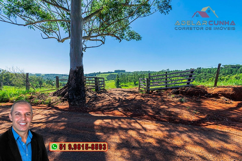 Sítio de 30 hectares à VENDA em Taquara – RS: 3ª foto da galeria de imagens do imóvel