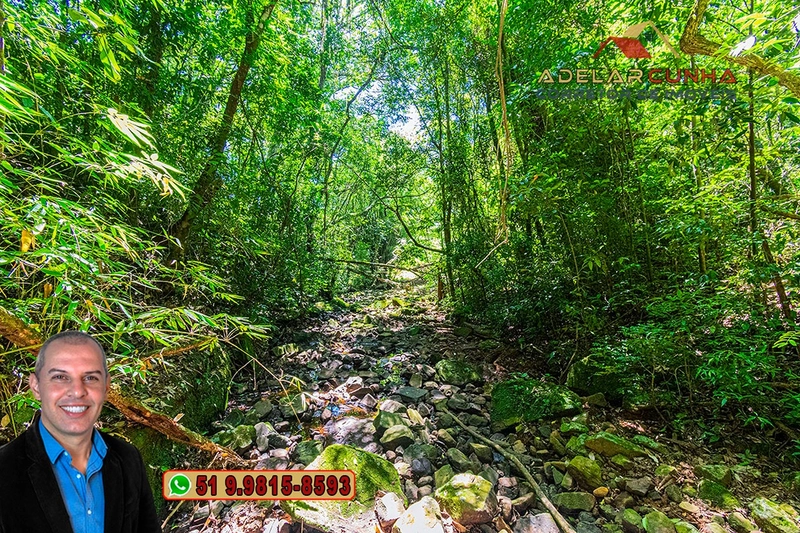 Sítio de 30 hectares à VENDA em Taquara – RS: 11ª foto da galeria de imagens do imóvel