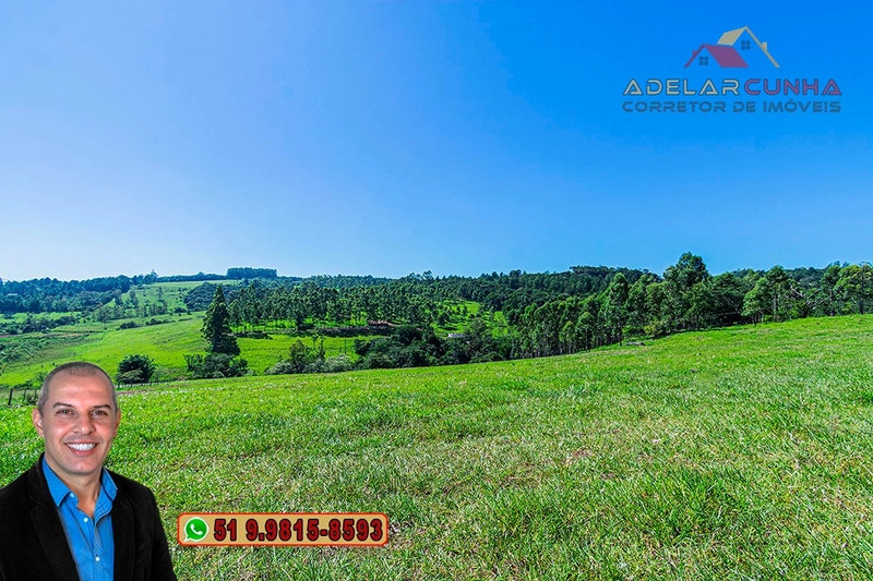 Sítio de 30 hectares à VENDA em Taquara – RS: 4ª foto da galeria de imagens do imóvel