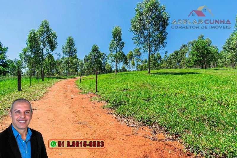 Sítio de 30 hectares à VENDA em Taquara – RS: 30ª foto da galeria de imagens do imóvel