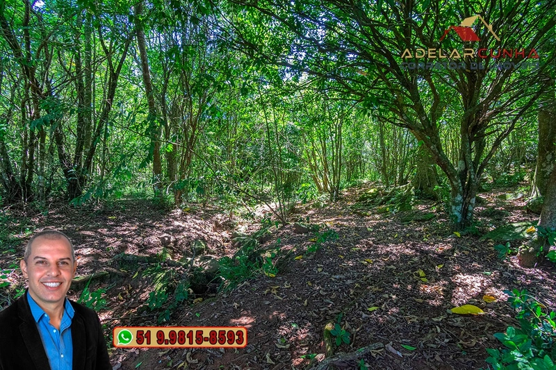 Sítio de 30 hectares à VENDA em Taquara – RS: 75ª foto da galeria de imagens do imóvel