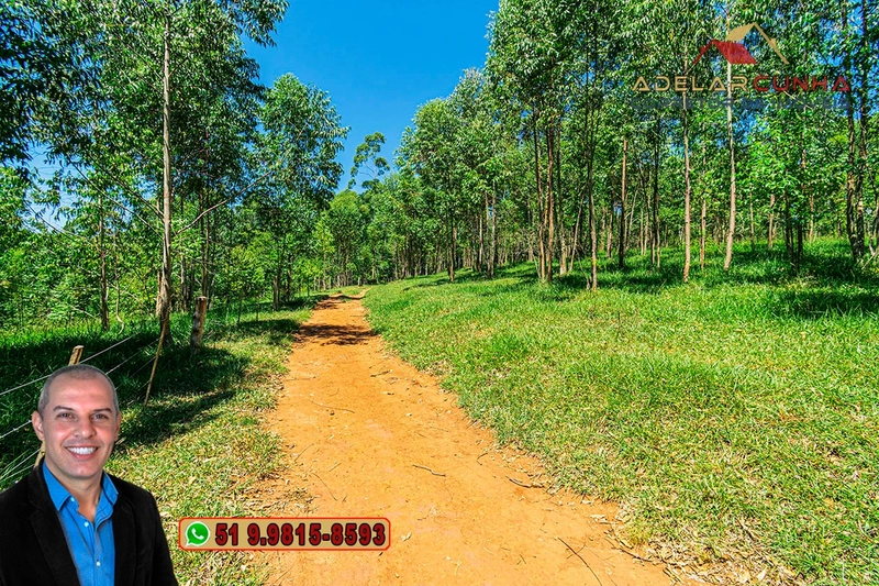 Sítio de 30 hectares à VENDA em Taquara – RS: 9ª foto da galeria de imagens do imóvel