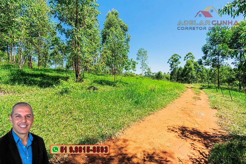 Sítio de 30 hectares à VENDA em Taquara – RS: 36ª foto da galeria de imagens do imóvel