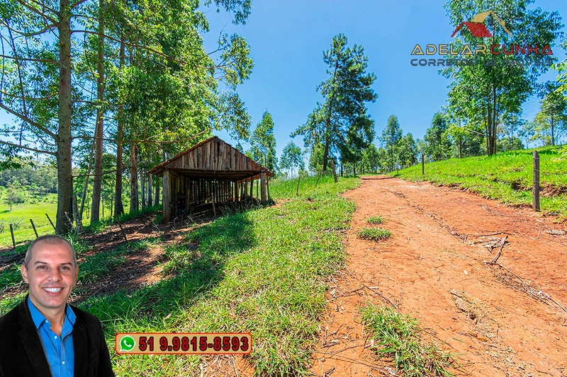 Sítio de 30 hectares à VENDA em Taquara – RS: 26ª foto da galeria de imagens do imóvel