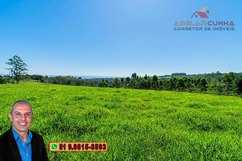 Sítio de 30 hectares à VENDA em Taquara – RS: 6ª foto da galeria de imagens do imóvel