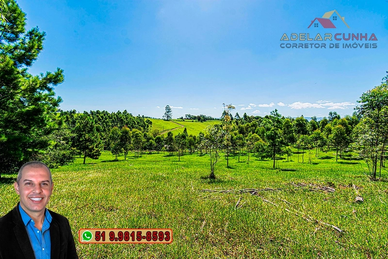 Sítio de 30 hectares à VENDA em Taquara – RS: 23ª foto da galeria de imagens do imóvel