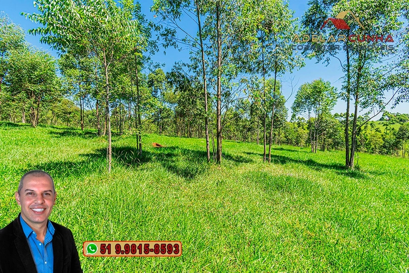 Sítio de 30 hectares à VENDA em Taquara – RS: 34ª foto da galeria de imagens do imóvel