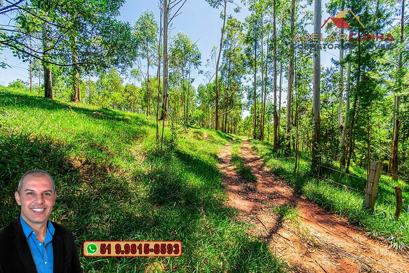Sítio de 30 hectares à VENDA em Taquara – RS: 40ª foto da galeria de imagens do imóvel