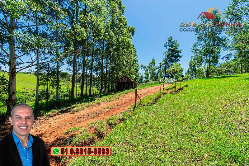 Sítio de 30 hectares à VENDA em Taquara – RS: 25ª foto da galeria de imagens do imóvel