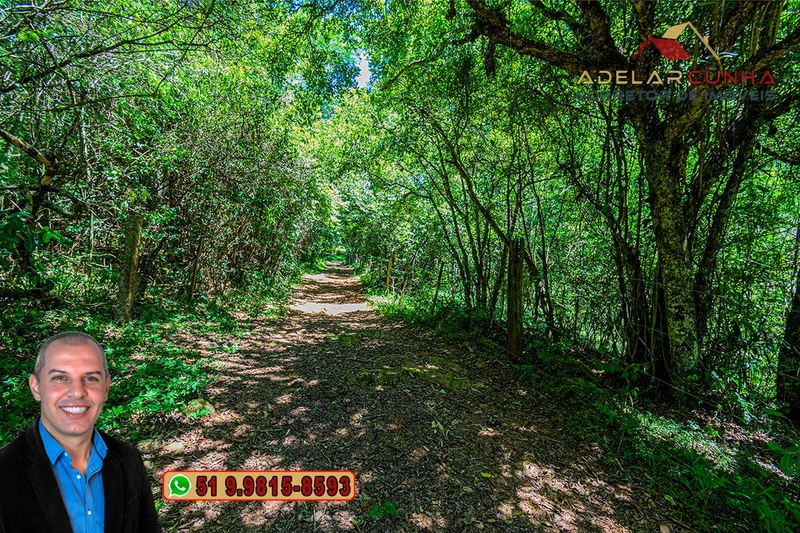 Sítio de 30 hectares à VENDA em Taquara – RS: 13ª foto da galeria de imagens do imóvel