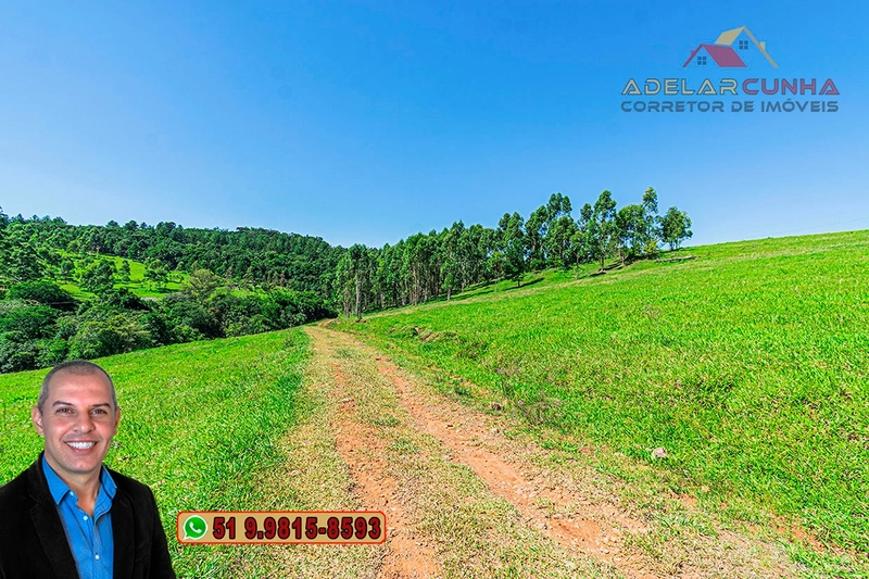 Sítio de 30 hectares à VENDA em Taquara – RS: 7ª foto da galeria de imagens do imóvel