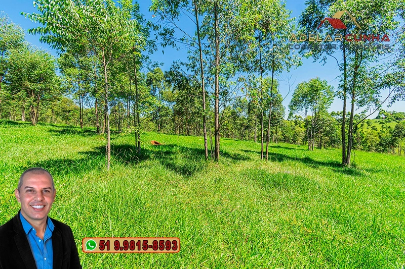 Sítio de 30 hectares à VENDA em Taquara – RS: 5ª foto da galeria de imagens do imóvel