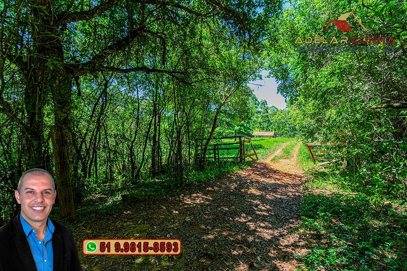 Sítio de 30 hectares à VENDA em Taquara – RS: 43ª foto da galeria de imagens do imóvel