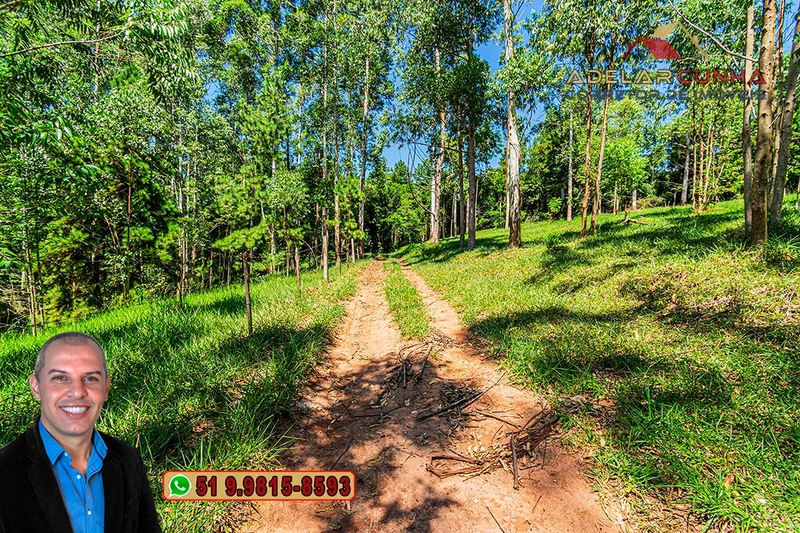 Sítio de 30 hectares à VENDA em Taquara – RS: 39ª foto da galeria de imagens do imóvel