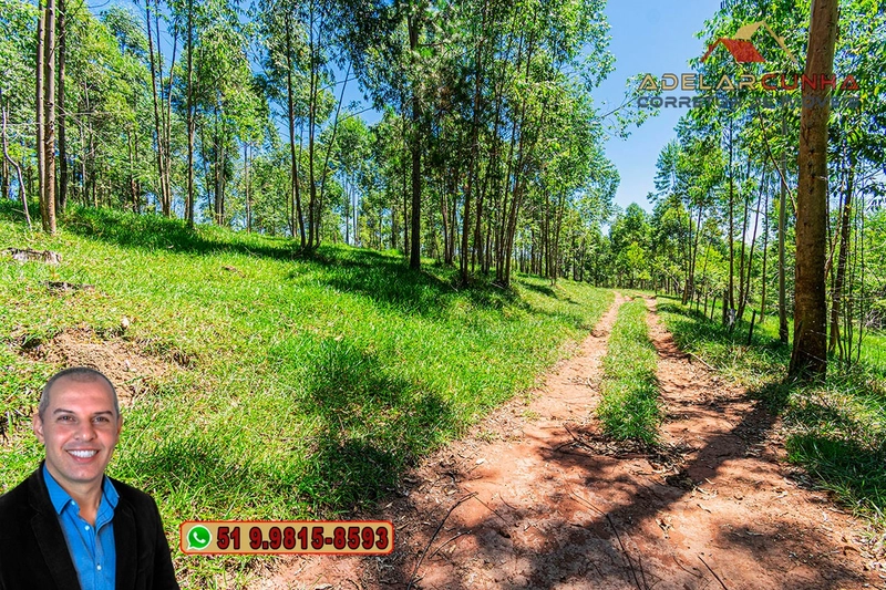 Sítio de 30 hectares à VENDA em Taquara – RS: 8ª foto da galeria de imagens do imóvel