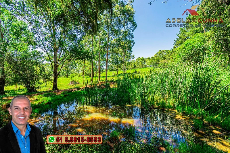 Sítio de 30 hectares à VENDA em Taquara – RS: 53ª foto da galeria de imagens do imóvel