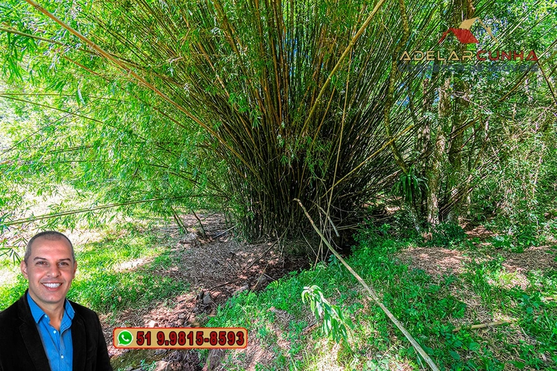 Sítio de 30 hectares à VENDA em Taquara – RS: 10ª foto da galeria de imagens do imóvel