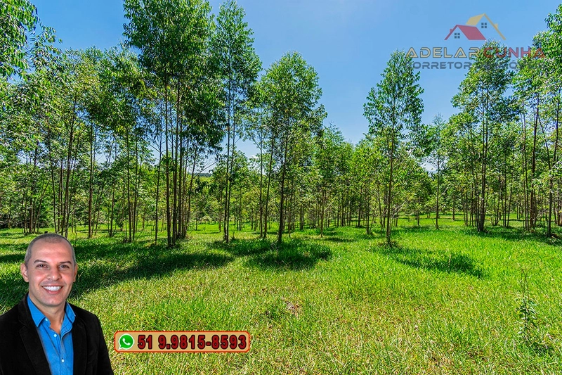 Sítio de 30 hectares à VENDA em Taquara – RS: 33ª foto da galeria de imagens do imóvel