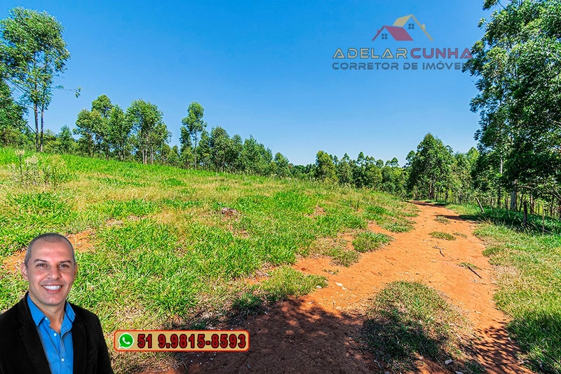 Sítio de 30 hectares à VENDA em Taquara – RS: 29ª foto da galeria de imagens do imóvel