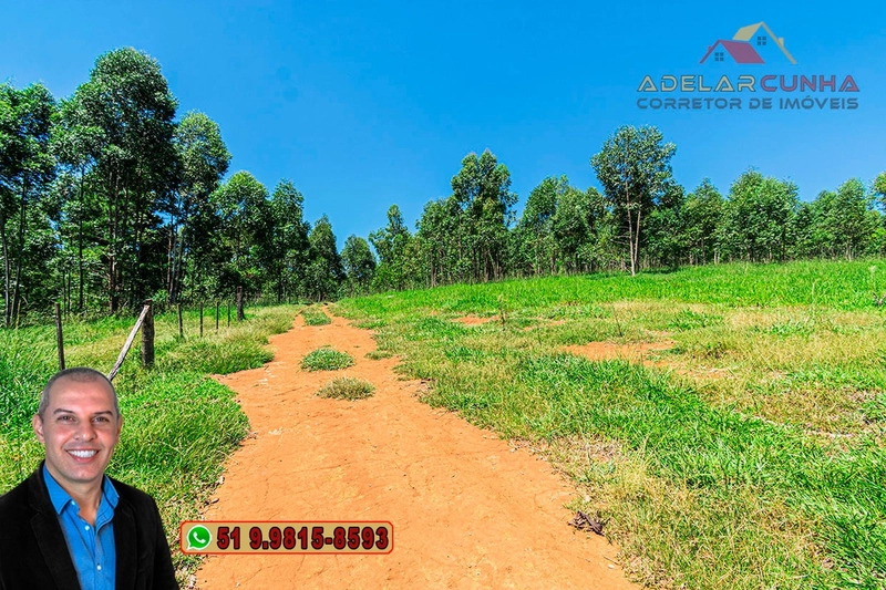 Sítio de 30 hectares à VENDA em Taquara – RS: 68ª foto da galeria de imagens do imóvel