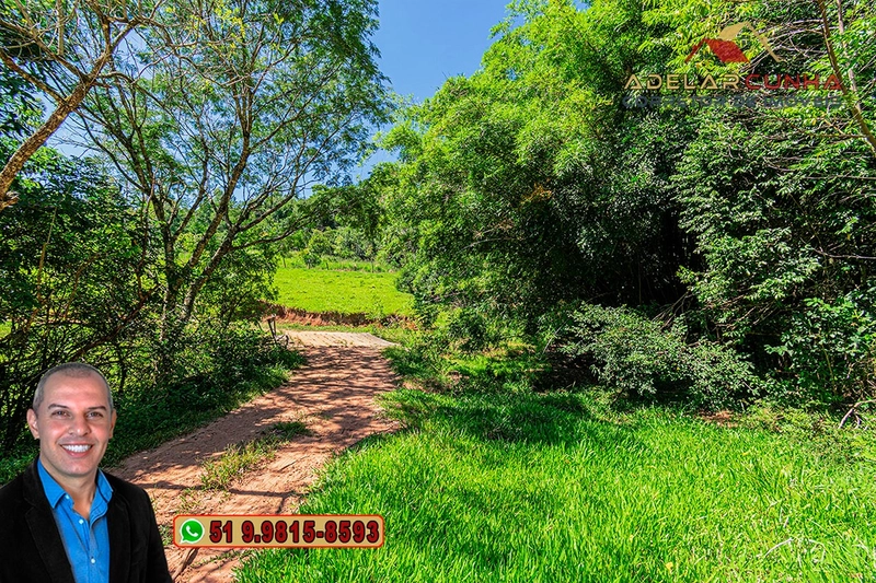 Sítio de 30 hectares à VENDA em Taquara – RS: 9ª foto da galeria de imagens do imóvel