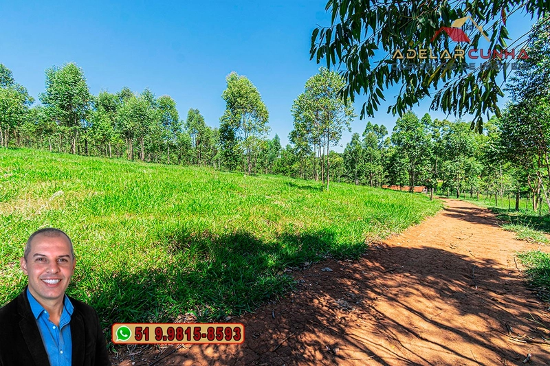 Sítio de 30 hectares à VENDA em Taquara – RS: 28ª foto da galeria de imagens do imóvel