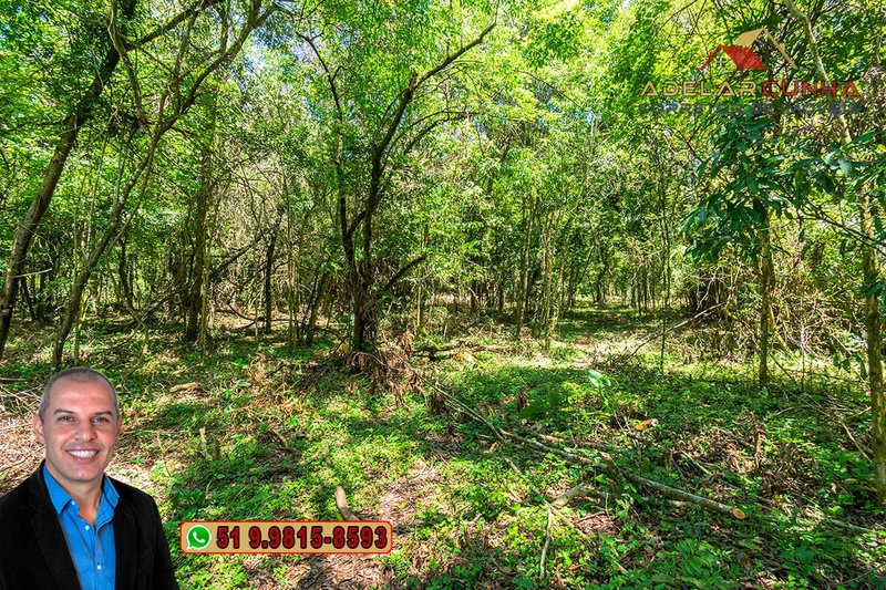 Sítio de 4.5 hectares com um Belíssimo Riacho à VENDA em Três Coroas: 45ª foto da galeria de imagens do imóvel