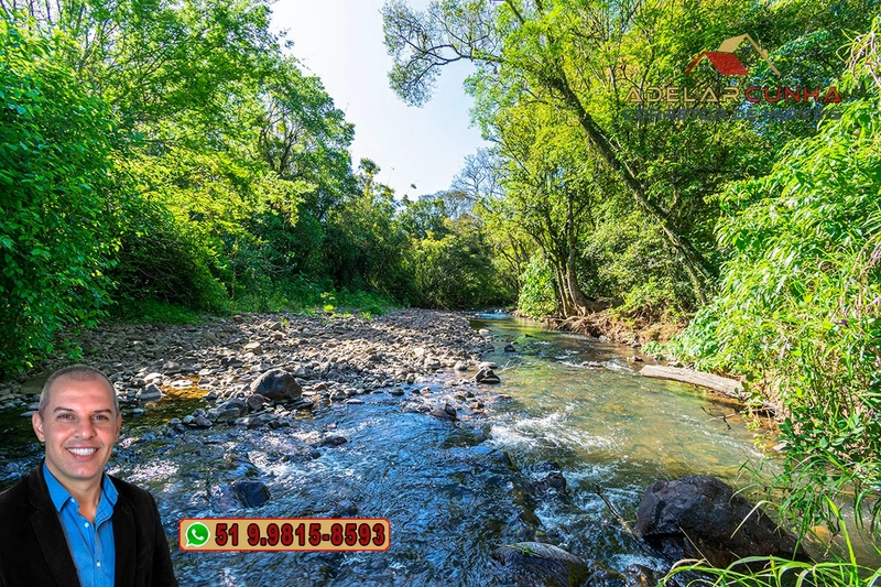 Sítio de 4.5 hectares com um Belíssimo Riacho à VENDA em Três Coroas: 13ª foto da galeria de imagens do imóvel