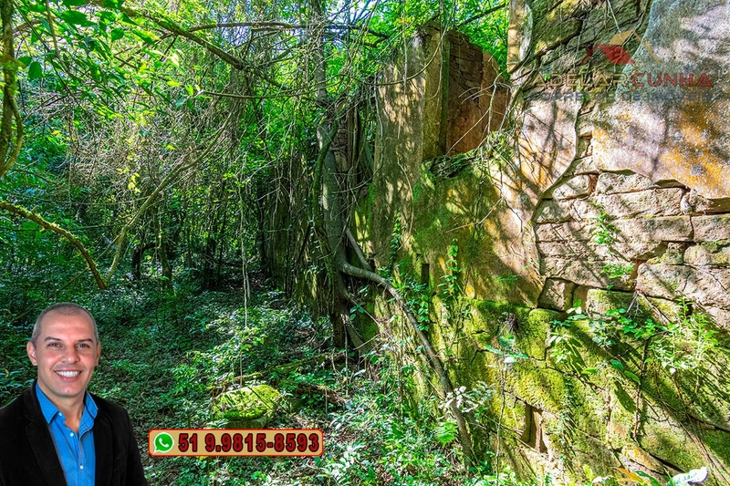Sítio de 4.5 hectares com um Belíssimo Riacho à VENDA em Três Coroas: 24ª foto da galeria de imagens do imóvel