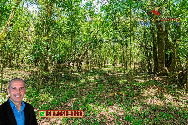 Sítio de 4.5 hectares com um Belíssimo Riacho à VENDA em Três Coroas: 42ª foto da galeria de imagens do imóvel