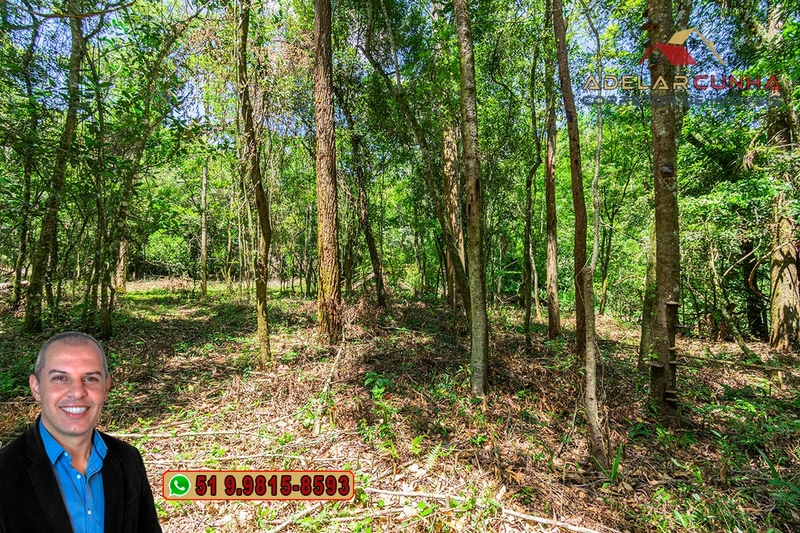 Sítio de 4.5 hectares com um Belíssimo Riacho à VENDA em Três Coroas: 17ª foto da galeria de imagens do imóvel