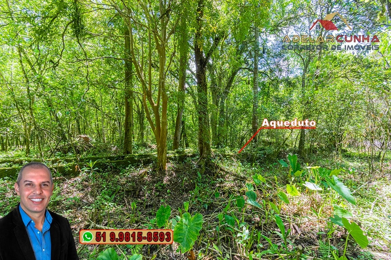 Sítio de 4.5 hectares com um Belíssimo Riacho à VENDA em Três Coroas: 46ª foto da galeria de imagens do imóvel