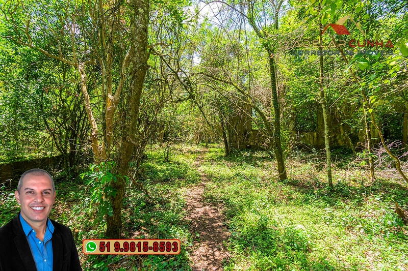 Sítio de 4.5 hectares com um Belíssimo Riacho à VENDA em Três Coroas: 47ª foto da galeria de imagens do imóvel