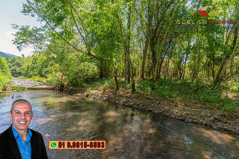 Sítio de 4.5 hectares com um Belíssimo Riacho à VENDA em Três Coroas: 16ª foto da galeria de imagens do imóvel