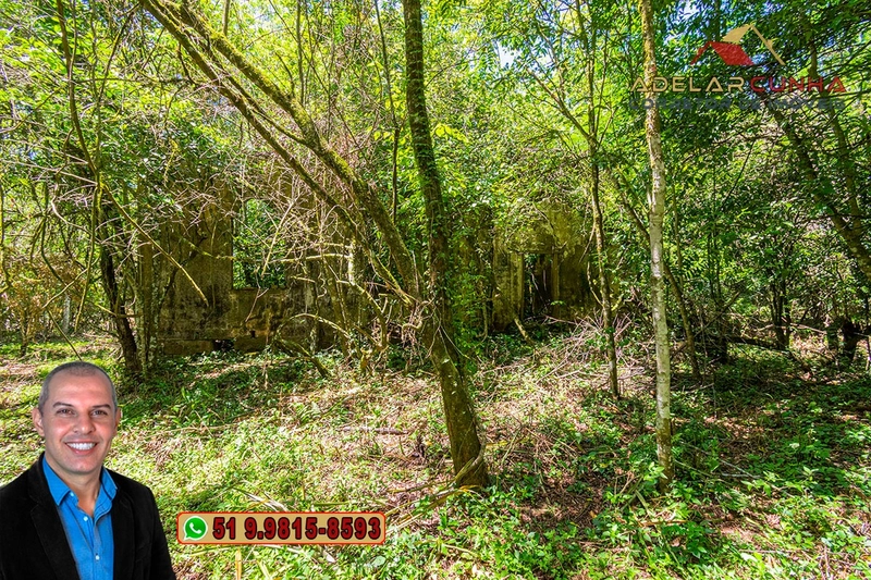 Sítio de 4.5 hectares com um Belíssimo Riacho à VENDA em Três Coroas: 48ª foto da galeria de imagens do imóvel