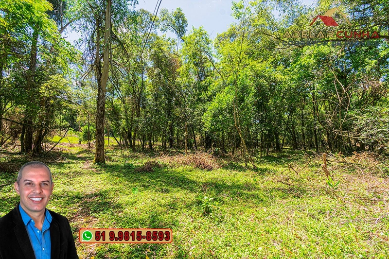 Sítio de 4.5 hectares com um Belíssimo Riacho à VENDA em Três Coroas: 19ª foto da galeria de imagens do imóvel