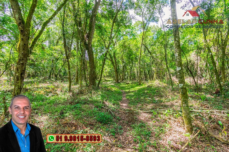 Sítio de 4.5 hectares com um Belíssimo Riacho à VENDA em Três Coroas: 41ª foto da galeria de imagens do imóvel