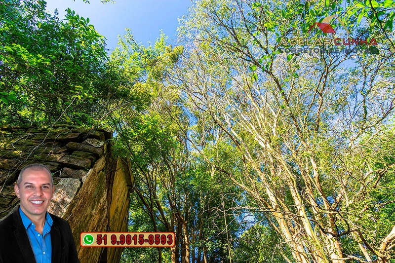 Sítio de 4.5 hectares com um Belíssimo Riacho à VENDA em Três Coroas: 25ª foto da galeria de imagens do imóvel