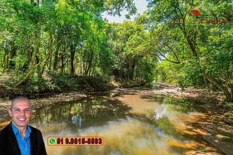 Sítio de 4.5 hectares com um Belíssimo Riacho à VENDA em Três Coroas: 3ª foto da galeria de imagens do imóvel
