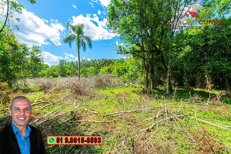 Sítio de 4.5 hectares com um Belíssimo Riacho à VENDA em Três Coroas: 55ª foto da galeria de imagens do imóvel