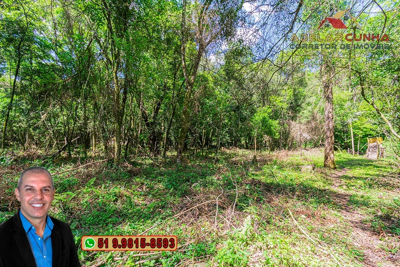 Sítio de 4.5 hectares com um Belíssimo Riacho à VENDA em Três Coroas: 18ª foto da galeria de imagens do imóvel