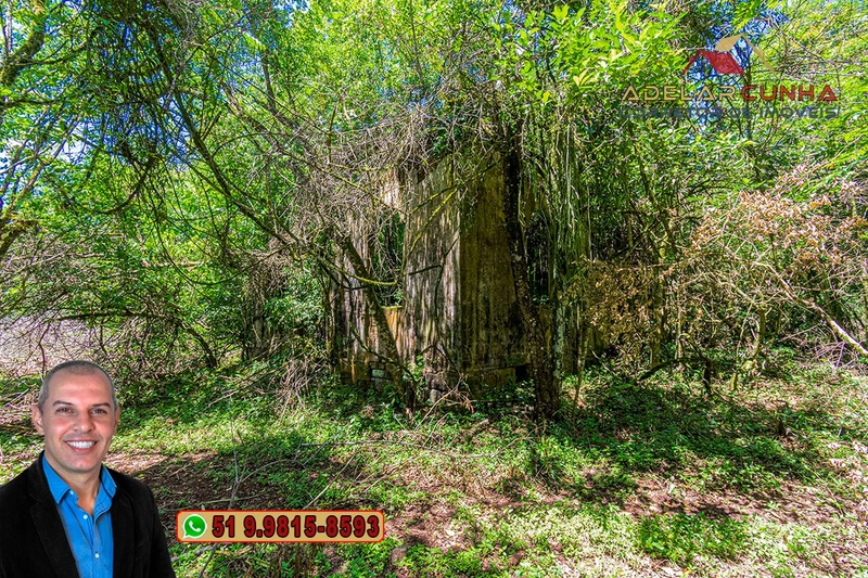 Sítio de 4.5 hectares com um Belíssimo Riacho à VENDA em Três Coroas: 49ª foto da galeria de imagens do imóvel